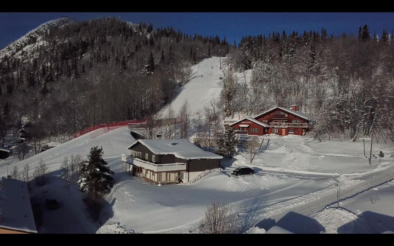 Berggatan Villa - Laegenhet 1 Funäsdalen Exterior foto
